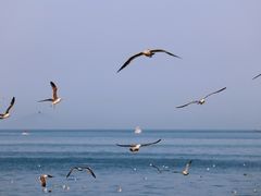 -大连海昌东方水城