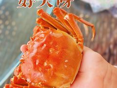 -水岸居湖景农家乐·阳澄湖大闸蟹