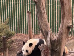 -沈阳森林动物园