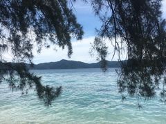 -东姑阿都拉曼海洋公园