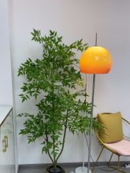-变美丽半永久纹眉连锁·机器野生眉·洗眉