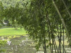 -云溪植物园