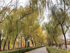 -西安汉城湖景区