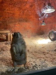 -酷嗒动物文化乐园(cutezoo西溪乐天城店)