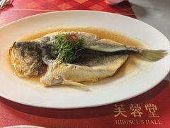 -芙蓉堂(武汉天地店)