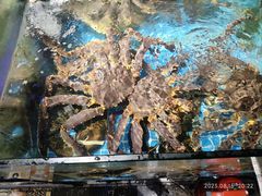 -77号渔船·蒸海鲜青岛菜(积米崖店)