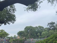 -无锡蠡湖国家湿地公园-蠡园
