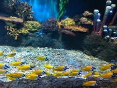 -华夏文旅海洋公园