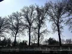 -皇家御河游(紫御湾码头)