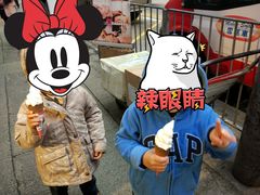 -富豪雪糕车流动点(尖沙咀)