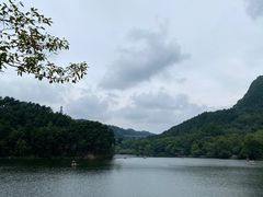 -黔灵山公园
