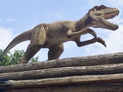 -陕西自然博物馆