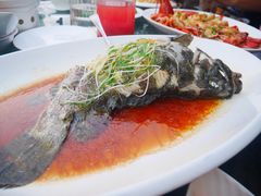-頂好酒家·经典粤菜(海信广场店)