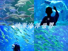 -威海华夏城景区