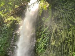-莫里热带雨林景区