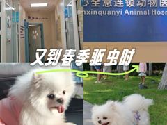 -全心全意连锁动物医院·微创中心·内科急重症·心脏专科(丰管路店)