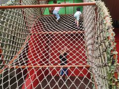 -中国福利会少年宫