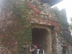 -原山国家森林公园