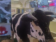 -红星前进面包牛奶公司(君太店)