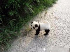 -失落之城沉浸式剧情密室(江宁万达店)