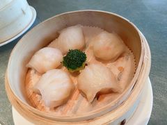-金悦轩海鲜城(渔人码头店)