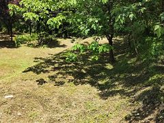 -北京上方山国家森林公园