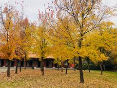 -终南山古楼观历史文化景区