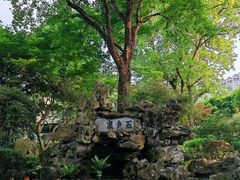 -上海醉白池公园