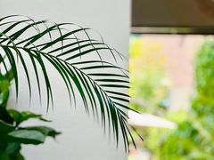 -漫笙舍Manse·咖啡·民宿