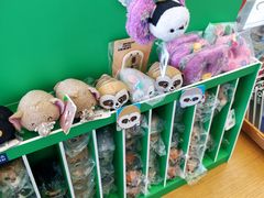 -朵云书院(滴水湖店)