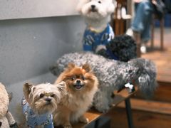 -初甜·舒芙蕾·韩式雪花冰(流塘店)