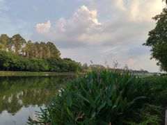 -南国桃园旅游度假区