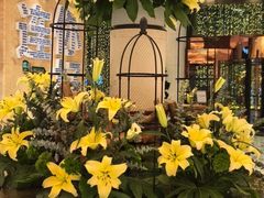 -大连中远海运洲际酒店