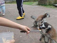 -南昌动物园