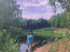 -大兴滨河森林公园