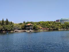 -深圳龙潭公园