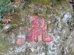 -十八棵（老龙井）御茶园(老龙井店)