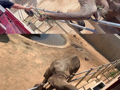 -西霞口神雕山野生动物世界