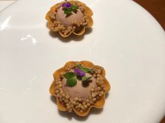 -觀芷隐轩