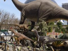 -陕西自然博物馆