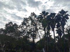-宁波九龙湖开元度假村