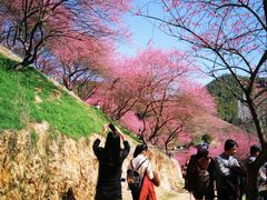 -溪口-滕头旅游景区