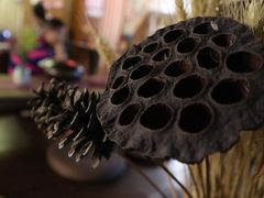 -蘭葶花酒馆(鼓楼店)