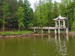 -四明山国家森林公园