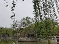 -黄村公园