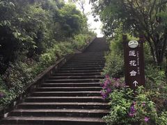 -大屏嶂森林公园