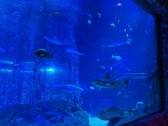 -沈阳海洋探索中心