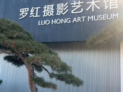 -罗红摄影艺术馆