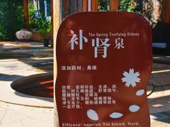 -华侨城阳宗海海景温泉