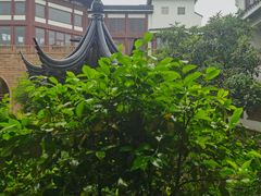 -苏州吴宫泛太平洋酒店